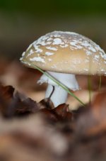 DSC_0480.JPG DSC_0480.JPG