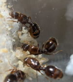 Ekran görüntüsü 2025-09-30 175924.png