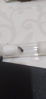 WhatsApp Görsel 2025-09-30 saat 22.14.41_bf441439.jpg