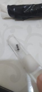 WhatsApp Görsel 2025-09-30 saat 22.14.42_b7e57aca.jpg