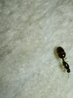 IMG_20251001_162219.jpg