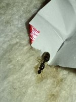 IMG_20251001_162217.jpg