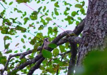 DSC_0562.JPG DSC_0562.JPG