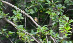 DSC_0493.JPG DSC_0493.JPG