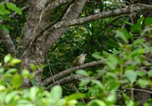 DSC_0536.JPG DSC_0536.JPG