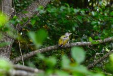 DSC_0547.JPG DSC_0547.JPG