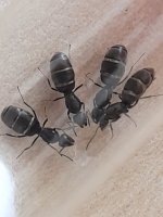 20220528_145542.jpg