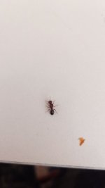 IMG-20220602-WA0009.jpeg