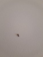 20220603_122949.jpg