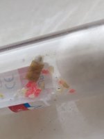 IMG_20220603_185750.jpg
