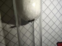 IMG_20220603_193336.jpg