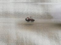 IMG_20220604_091235.jpg