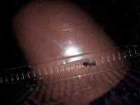 20220606_162328.jpg
