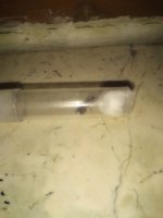 IMG_20220606_190149.jpg