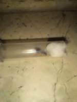 IMG_20220606_190140.jpg