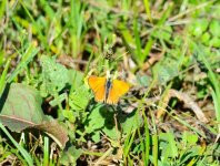 DSC_0546.JPG DSC_0546.JPG