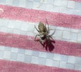 DSC_0579.JPG DSC_0579.JPG