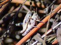 DSC_0609.JPG DSC_0609.JPG