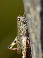 DSC_0622.JPG DSC_0622.JPG