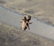 DSC_0557.JPG DSC_0557.JPG