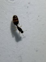 IMG_7442.jpeg