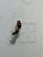 IMG_7441.jpeg