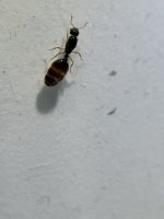 IMG_7439.jpeg