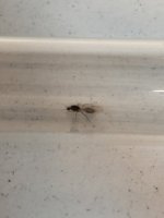 IMG_1545.jpeg