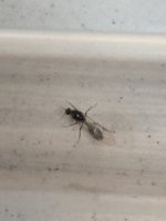 IMG_1546.jpeg