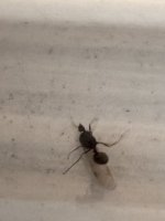 IMG_1547.jpeg