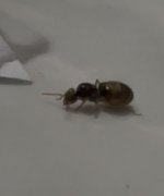 IMG_1633.jpeg