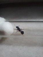 IMG_20251004_104548.jpg