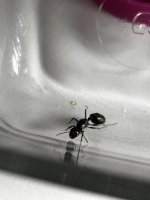 IMG_1660.jpeg