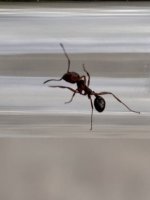 IMG_1553.jpeg