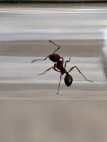 IMG_1552.jpeg