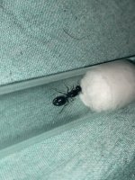 IMG_7359.jpeg
