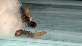 IMG_7741.jpeg