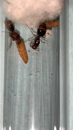 IMG_7739.jpeg