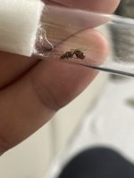 IMG_0376.jpeg