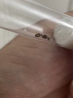 IMG_0377.jpeg
