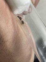 IMG_0380.jpeg