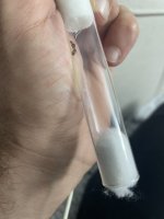 IMG_0382.jpeg