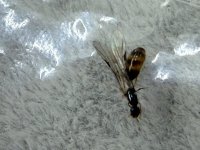 IMG_1726.jpeg