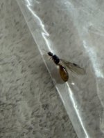 IMG_1720.jpeg