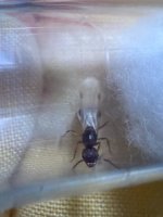 IMG_1774.jpeg