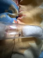 IMG_1772.jpeg