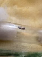 IMG_1766.jpeg