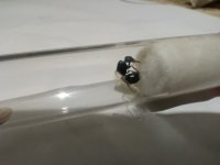 IMG_20251006_212941.jpg