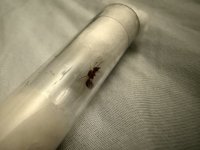 IMG_1781.jpeg