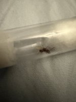 IMG_1778.jpeg